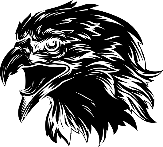 Animals11
