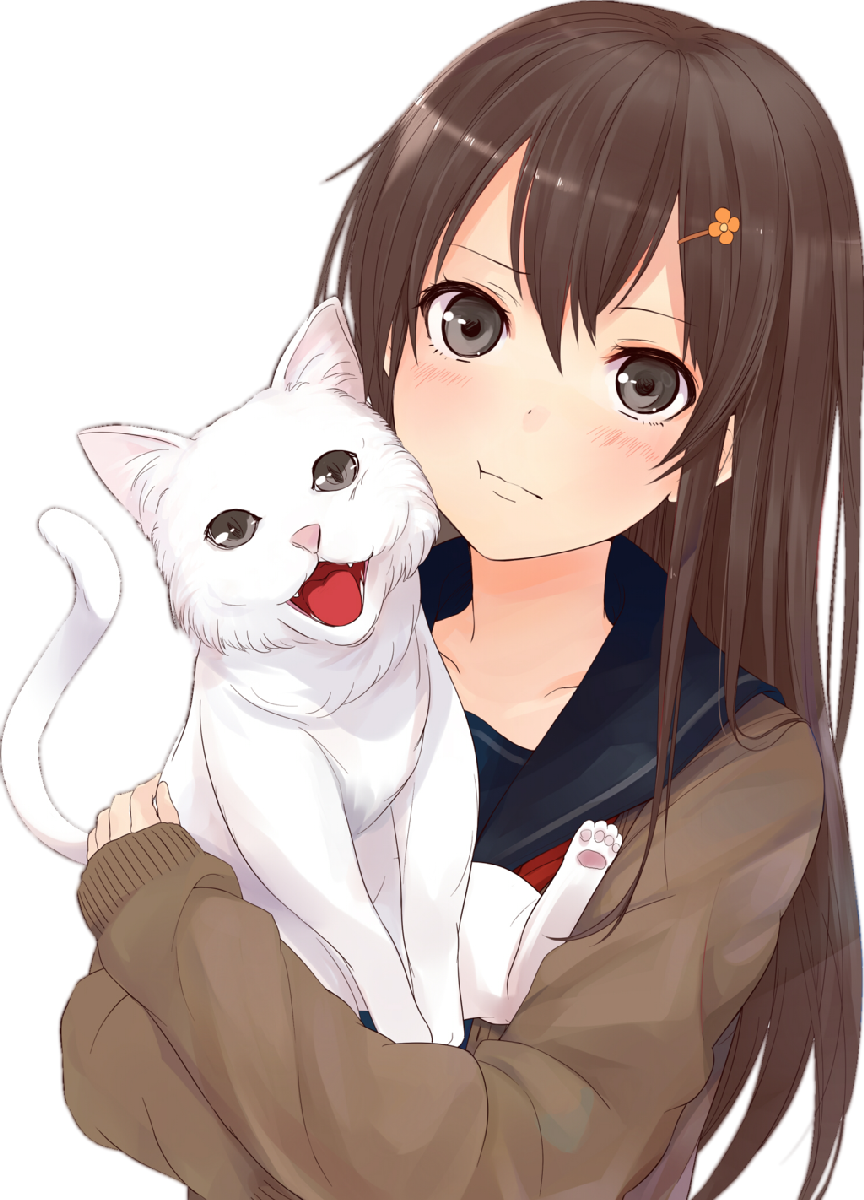 Anime486