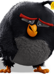 Angry_Birds01