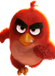 Angry_Birds07