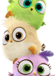 Angry_Birds08