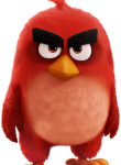 Angry_Birds09