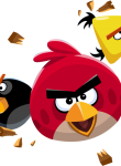 Angry_Birds29