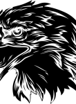 Animals11