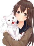 Anime486