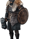 Assassins_Creed24