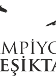 Beşiktaş13