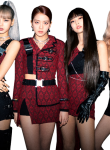Black_Pink29