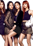 Black_Pink46