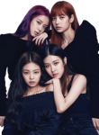 Black_Pink47