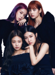 Black_Pink67
