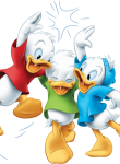 Donald_Duck37