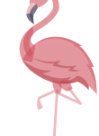 Flamingo06