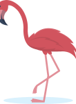 Flamingo07