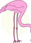 Flamingo08