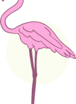 Flamingo09