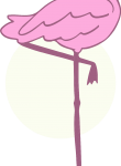 Flamingo11