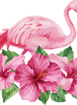 Flamingo13