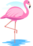 Flamingo14