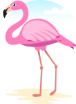 Flamingo15