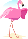 Flamingo16