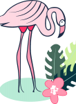 Flamingo19