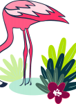 Flamingo20