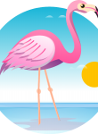 Flamingo21