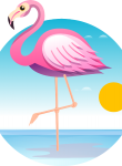 Flamingo22