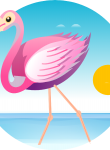 Flamingo24