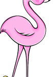 Flamingo27