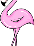Flamingo28