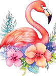 Flamingo30
