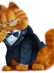 Garfield13