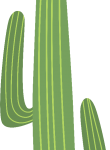 Kaktüs33