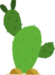 Kaktüs37