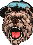 Köpek21
