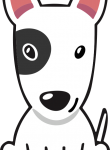 Köpek22