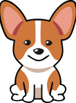 Köpek23