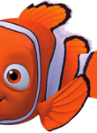 Nemo11