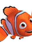 Nemo12