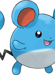 Pokemon79