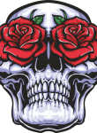 Skull03