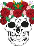 Skull06