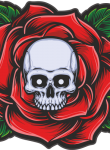 Skull17