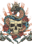 Skull25