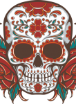 Skull64