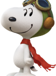 Snoopy076