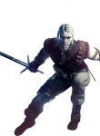 Witcher10