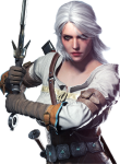 Witcher16